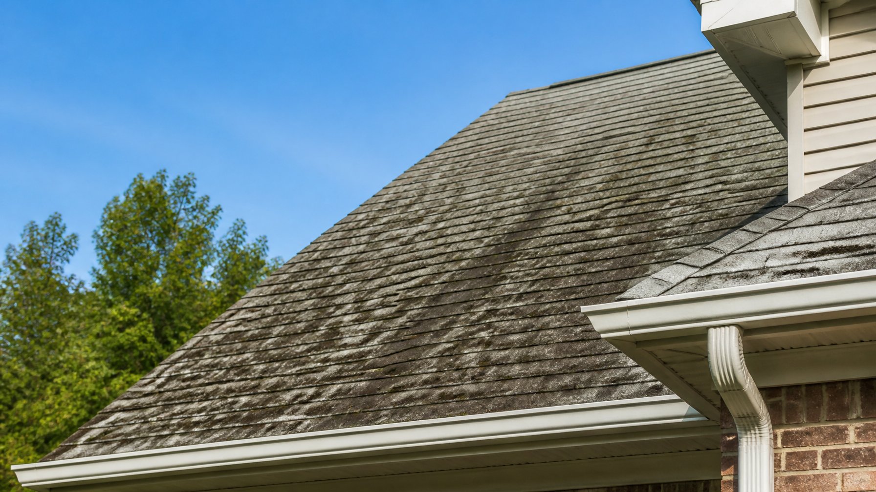 Close-up of a residential roof with dark streaks on worn shingles indicating algae growth.