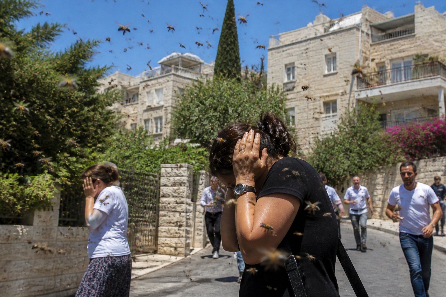 People in an Israeli city reacting as a swarm of bees flies around them near residential buildings.