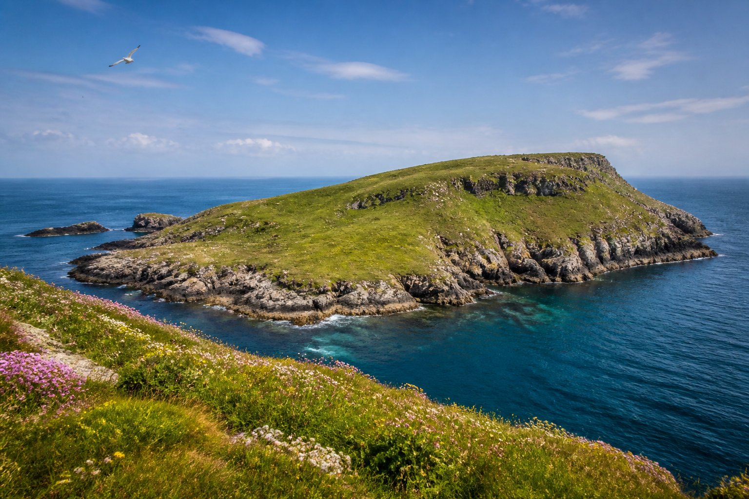 A remote coastal island with green cliffs, wildflowers, calm blue sea, and seabirds flying overhead under a clear sky.