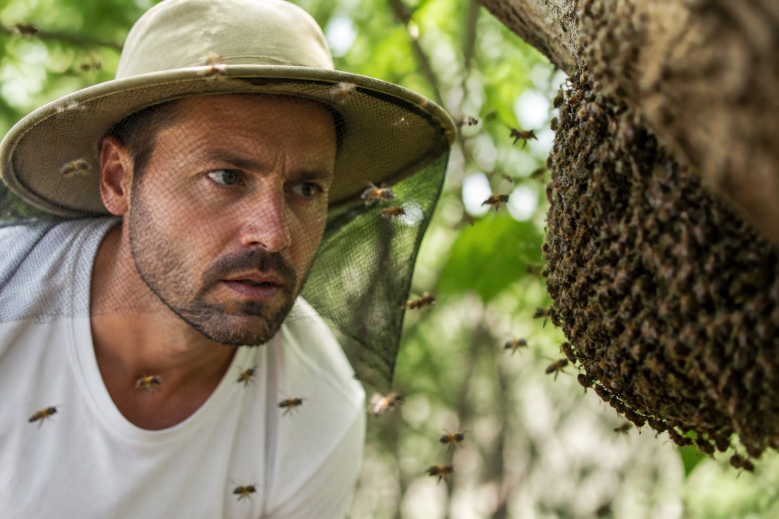 A person outdoors looking cautiously at bees flying near flowers and a beehive.