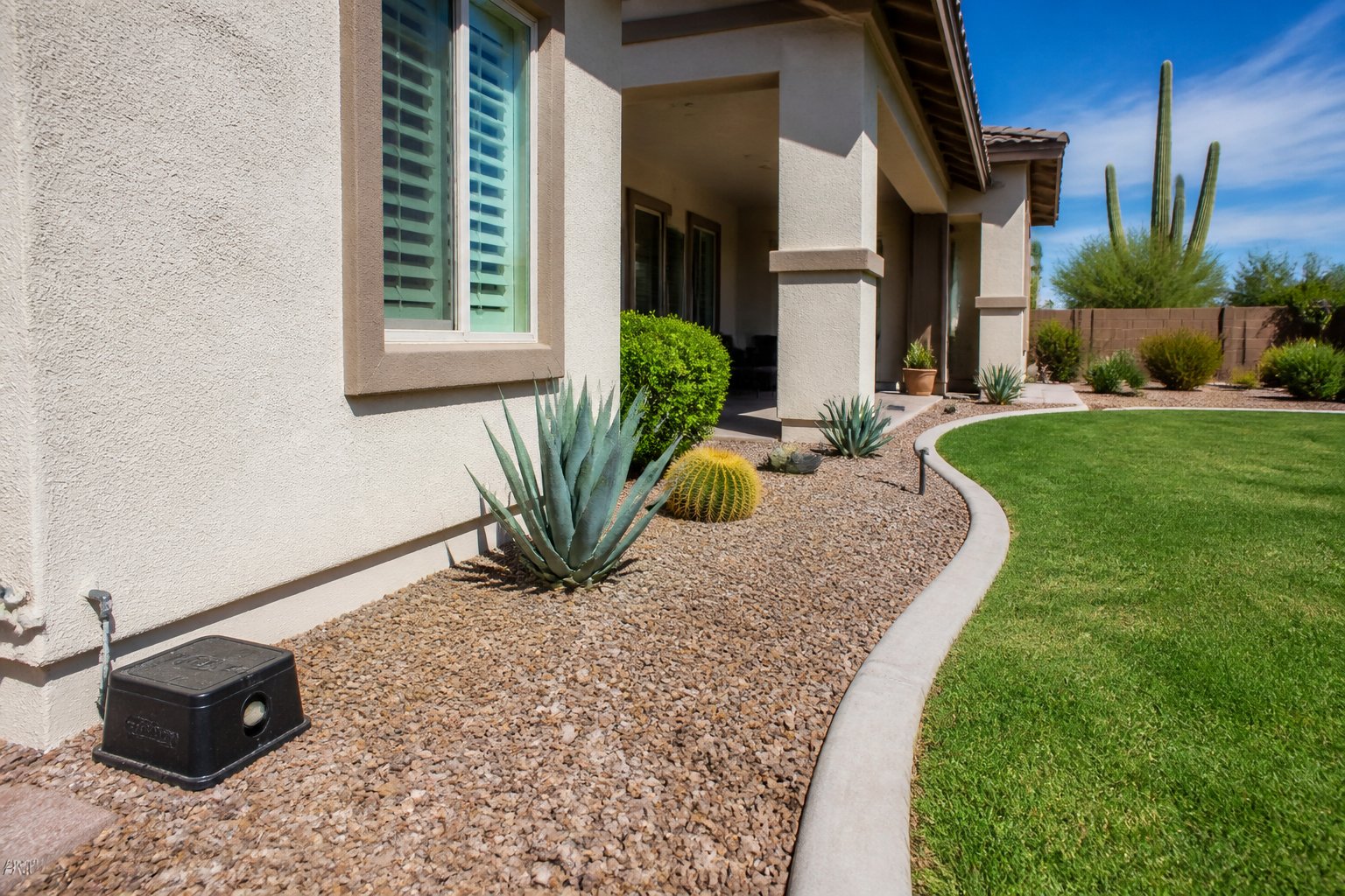 A clean suburban backyard in Arizona with desert plants and pest control equipment near the house.