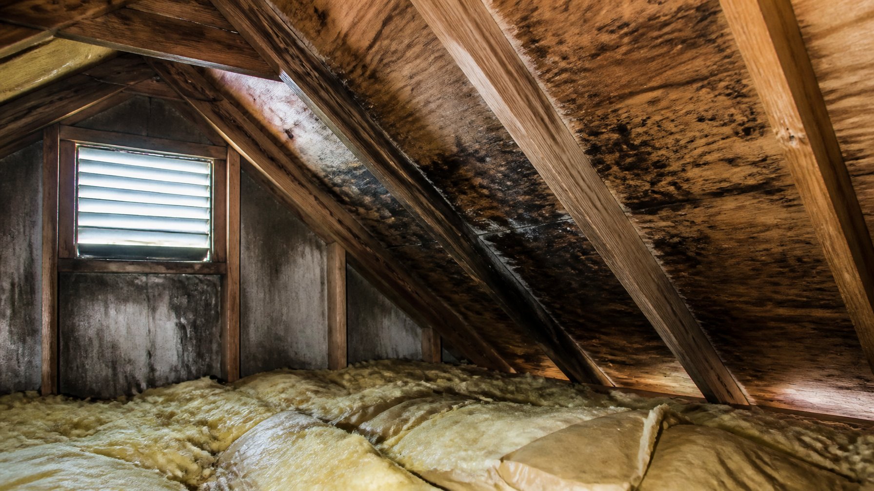 Interior of an attic showing wooden beams and insulation with visible moisture damage and mold.