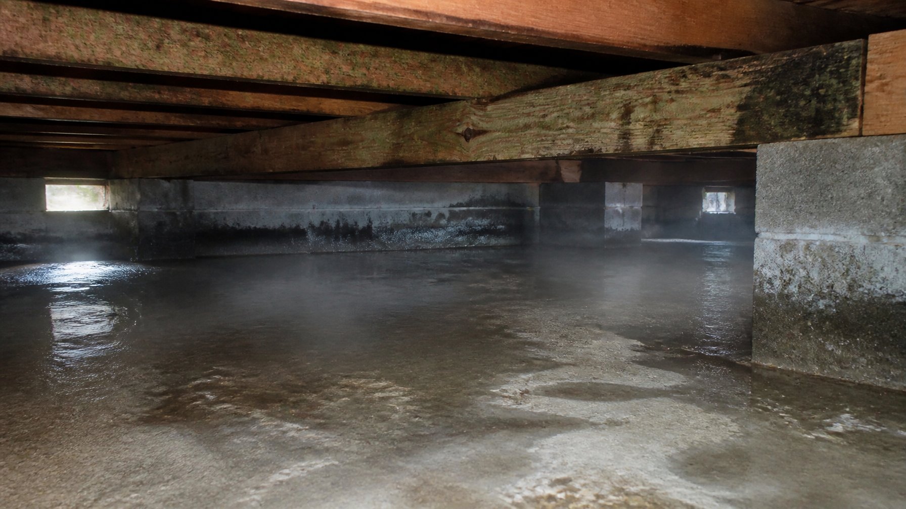 A crawl space under a house with damp floor, standing water, and mold on wooden beams.
