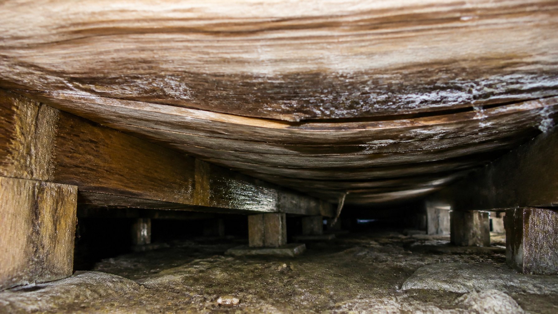 Close-up of warped and sagging wooden floorboards above a dimly lit crawl space with exposed beams and signs of moisture damage.