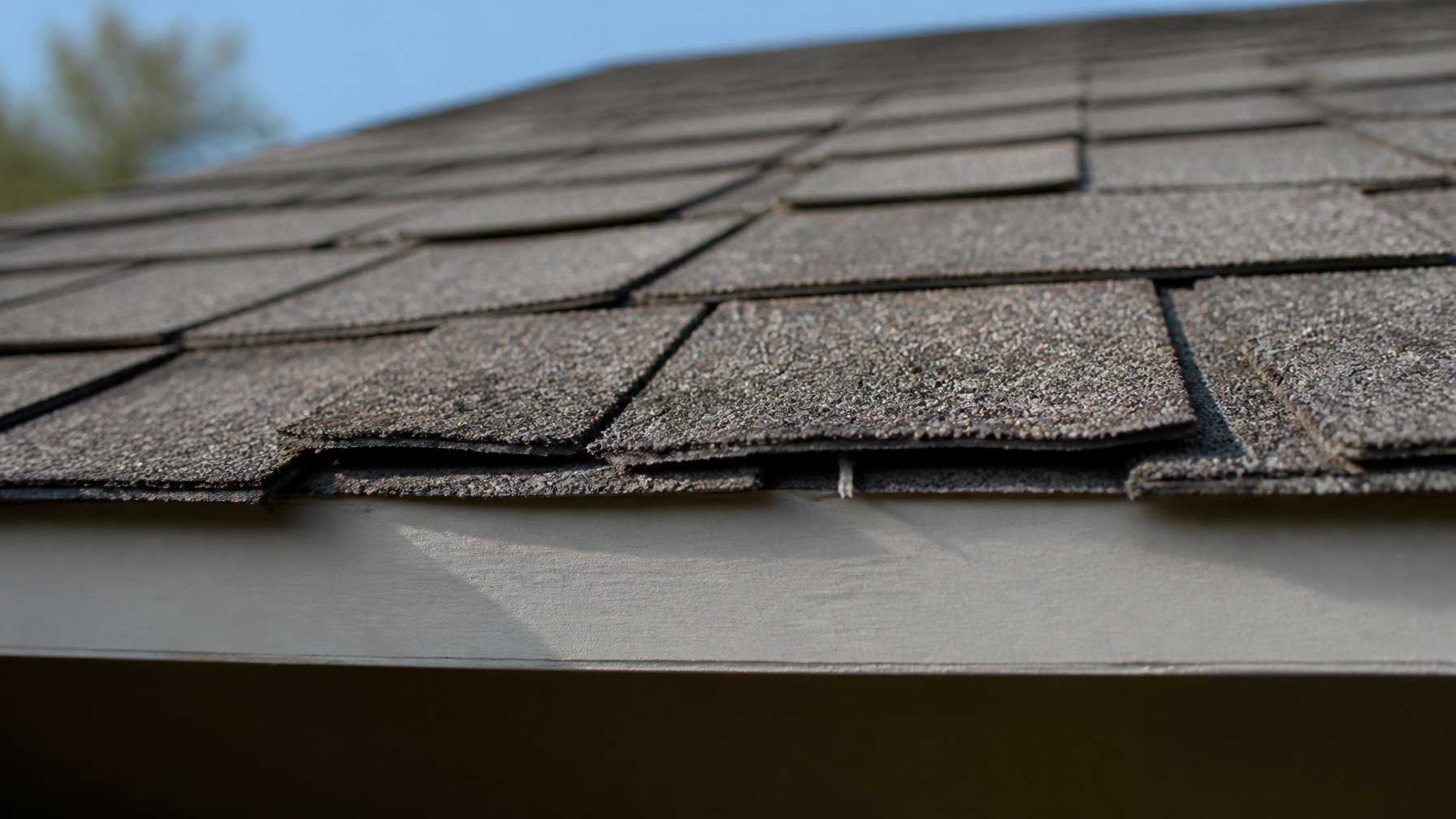 Close-up of a roof's lower shingle edges showing visible granule loss and wear.
