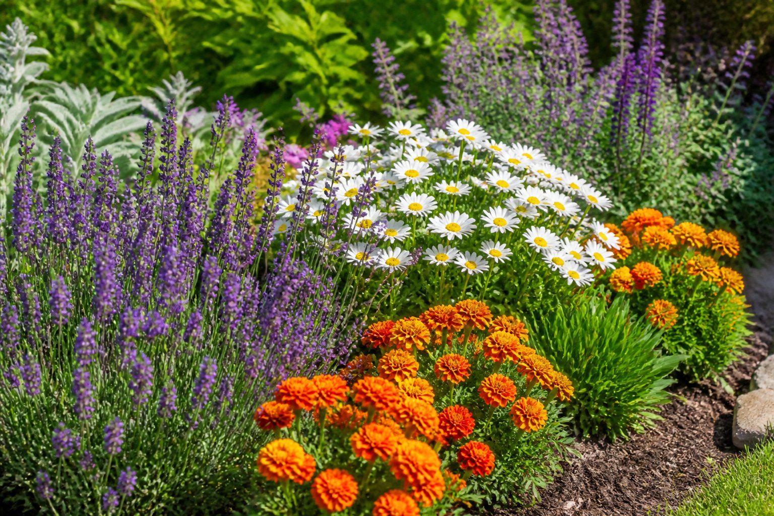 A garden bed with colorful flowers including marigolds, lavender, and daisies surrounded by green leaves in natural sunlight.