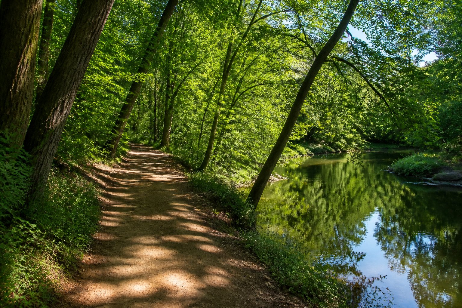 A winding forest trail beside a calm river surrounded by green trees and sunlight filtering through the leaves.