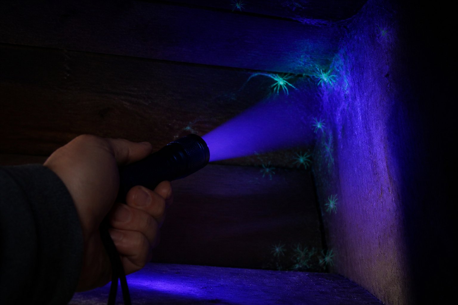 A person shining a UV light on a dark corner revealing glowing spiders or spider webs.
