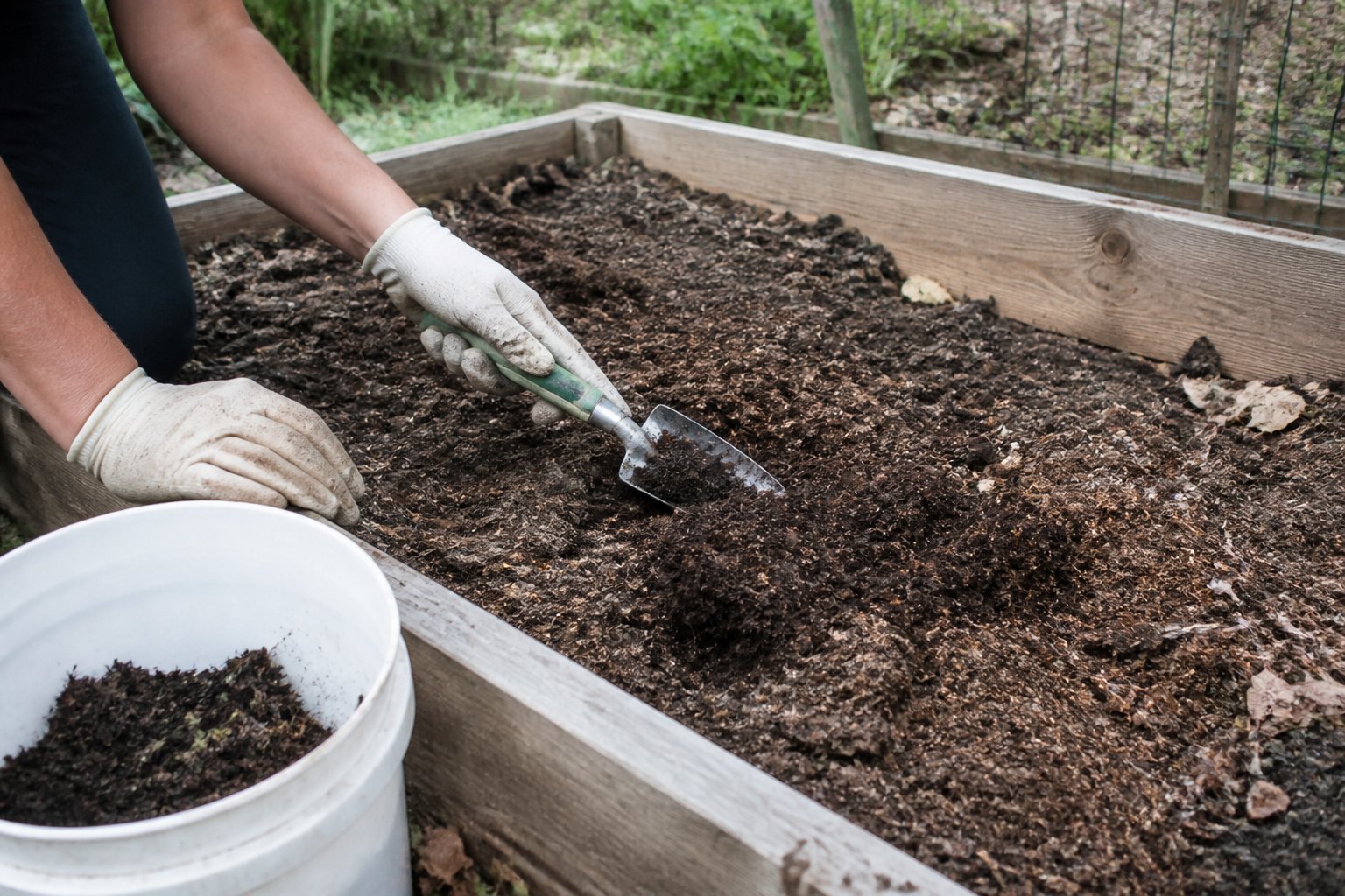 A gardener mixes a small amount of aged manure into soil in a wooden raised garden bed.