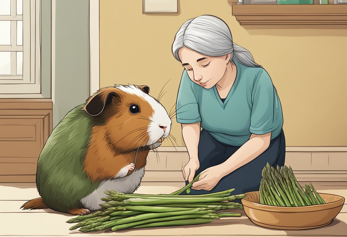 Can Guinea Pigs Eat Raw Asparagus? A Guide To Feeding Your Pet Guinea