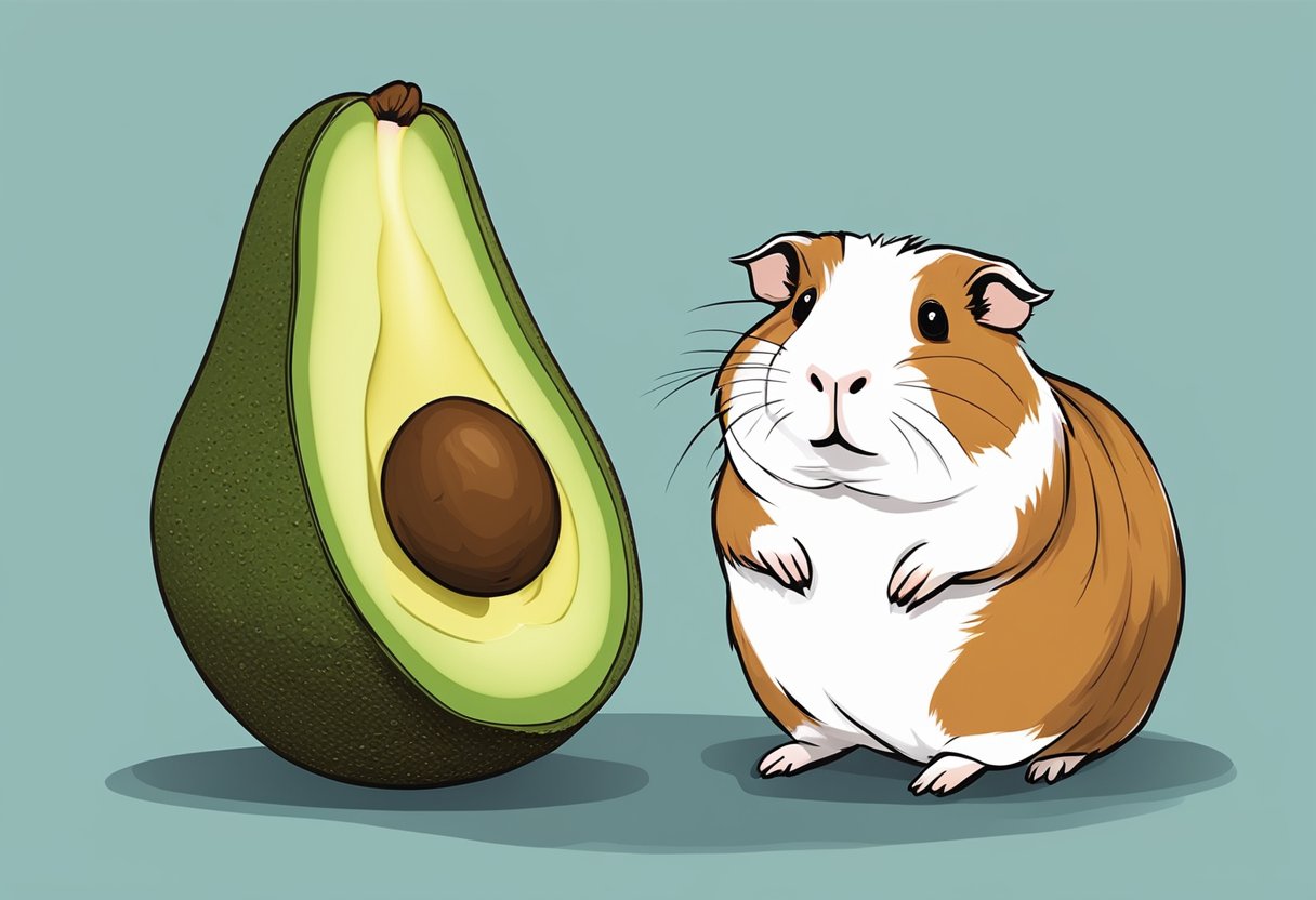 Photo inspiration: Guinea Pig Nutritious Guacamole Reference: Can Guinea Pigs Eat Avocado A Comprehensive Guide