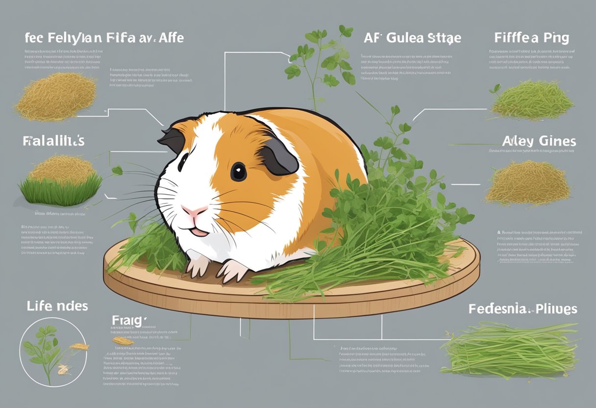 Image result for Can Guinea Pigs Eat Alfalfa Hay? A Comprehensive Guide - Pets Collector