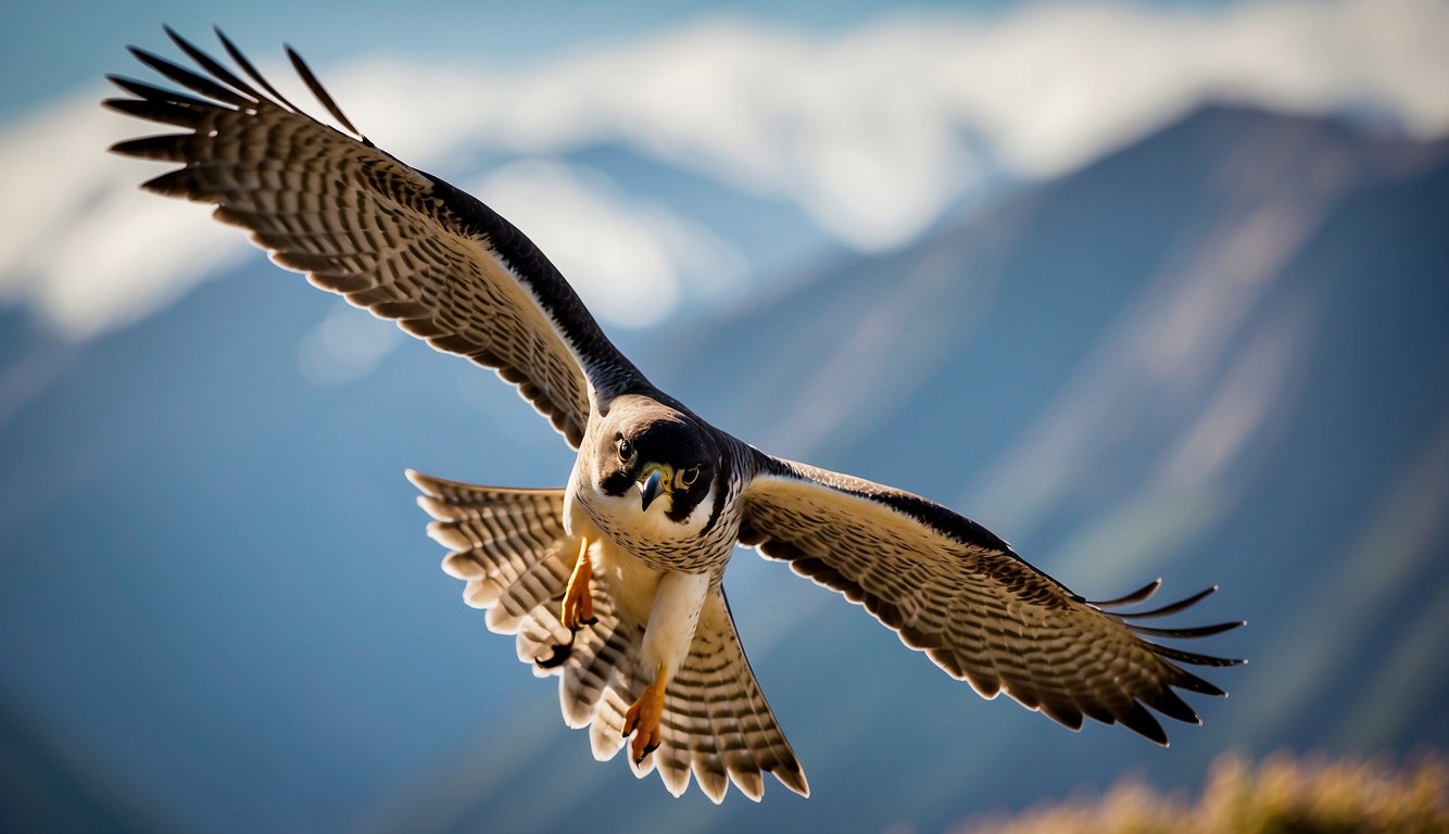 A peregrine falcon soars through the sky, its sleek body and pointed wings cutting through the air.

Its sharp, focused eyes scan the ground below as it hunts for its prey with incredible speed and precision