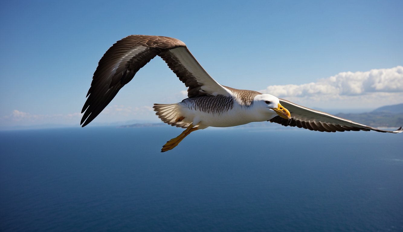 A majestic albatross soars above the vast ocean, its giant wings outstretched as it glides effortlessly through the clear blue sky