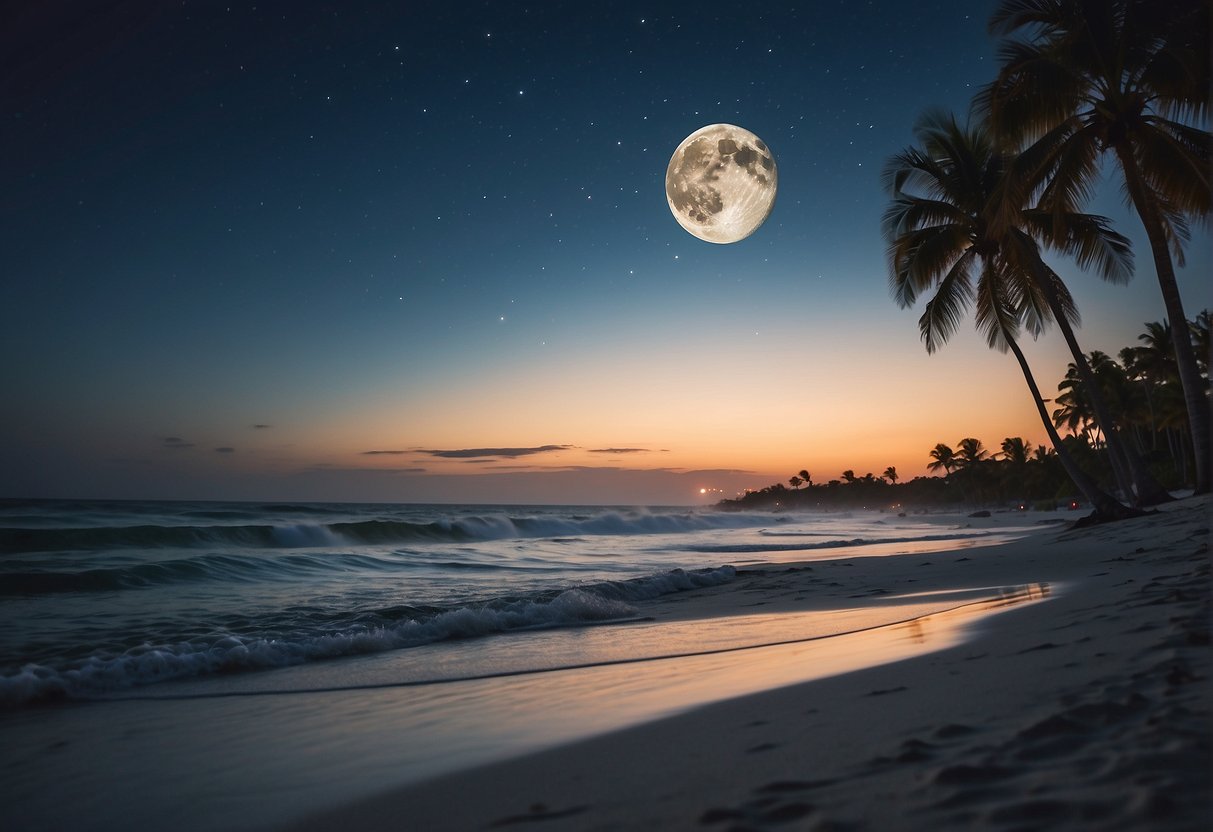 A moonlit beach in Florida, waves gently lapping the shore, palm trees swaying in the breeze, and the sound of seagulls in the distance