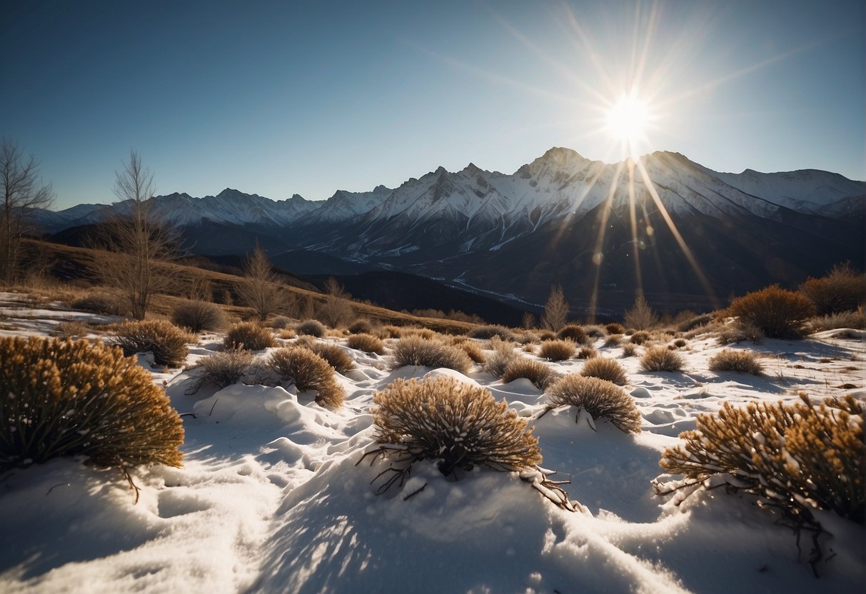 A landscape with a tall mountain range casting long shadows as the sun moves across the sky, with snow-covered terrain and sparse vegetation