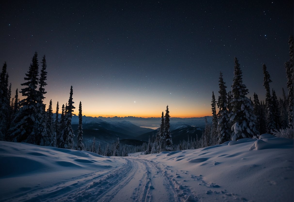 Alaska remains dark for months. Snow-covered landscape, silhouetted trees, and a starry sky. No signs of human activity