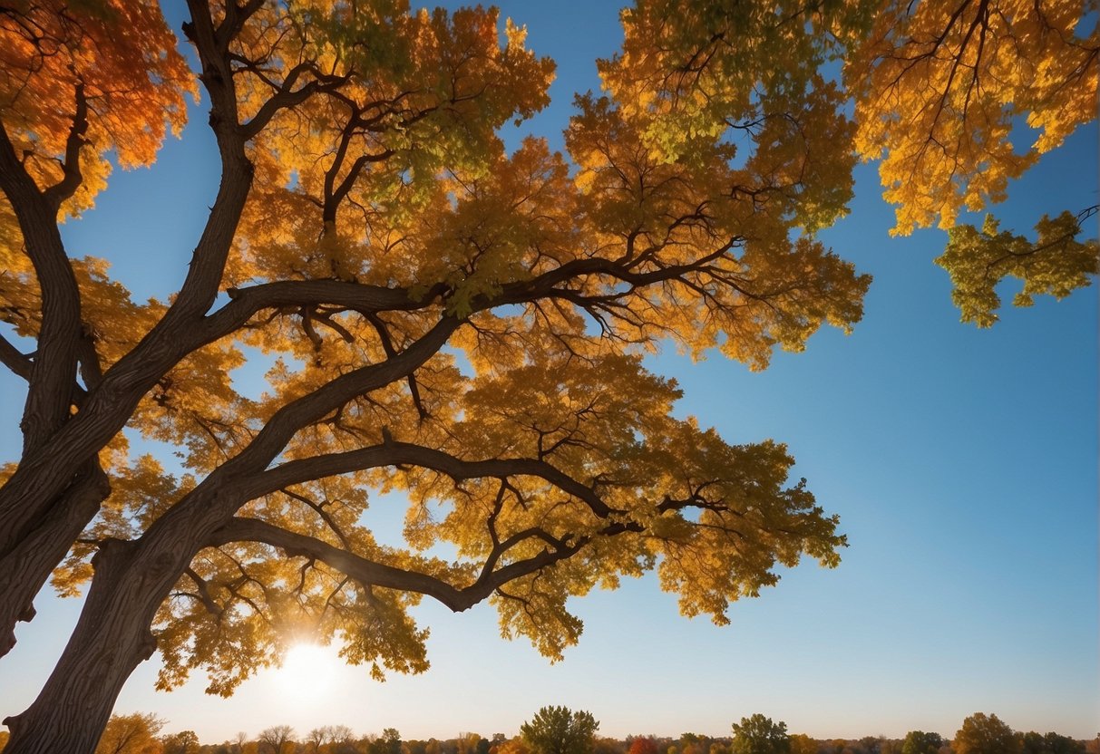 Clear skies over Oklahoma City, with colorful fall foliage and a gentle breeze. Perfect for outdoor activities