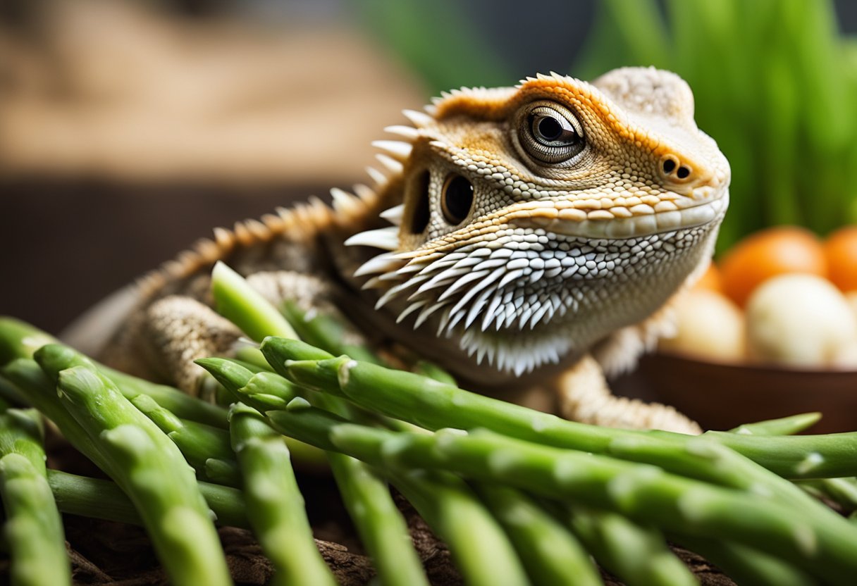 A bearded dragon surrounded by asparagus, looking curious and sniffing at the vegetable