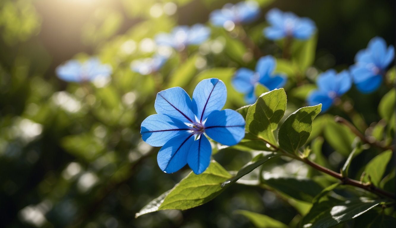 A vibrant blue Ceratostigma Plumbaginoides plant sits in a sunny garden, surrounded by lush green foliage.

Its delicate flowers add a pop of color to the landscape