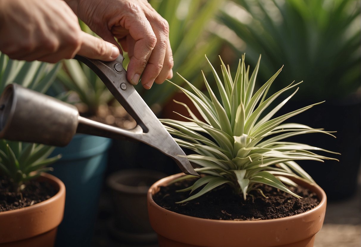 A pair of gardening shears trims a yucca plant. Cuttings are placed in a pot with soil. New growth emerges from the base