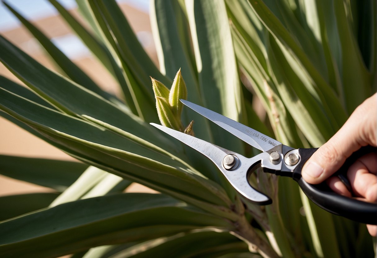 A pair of gardening shears cutting back a tall yucca plant in a sunny outdoor setting