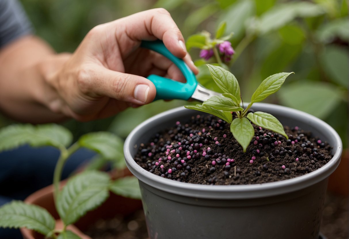 How to Propagate Beautyberry: A Step-by-Step Guide