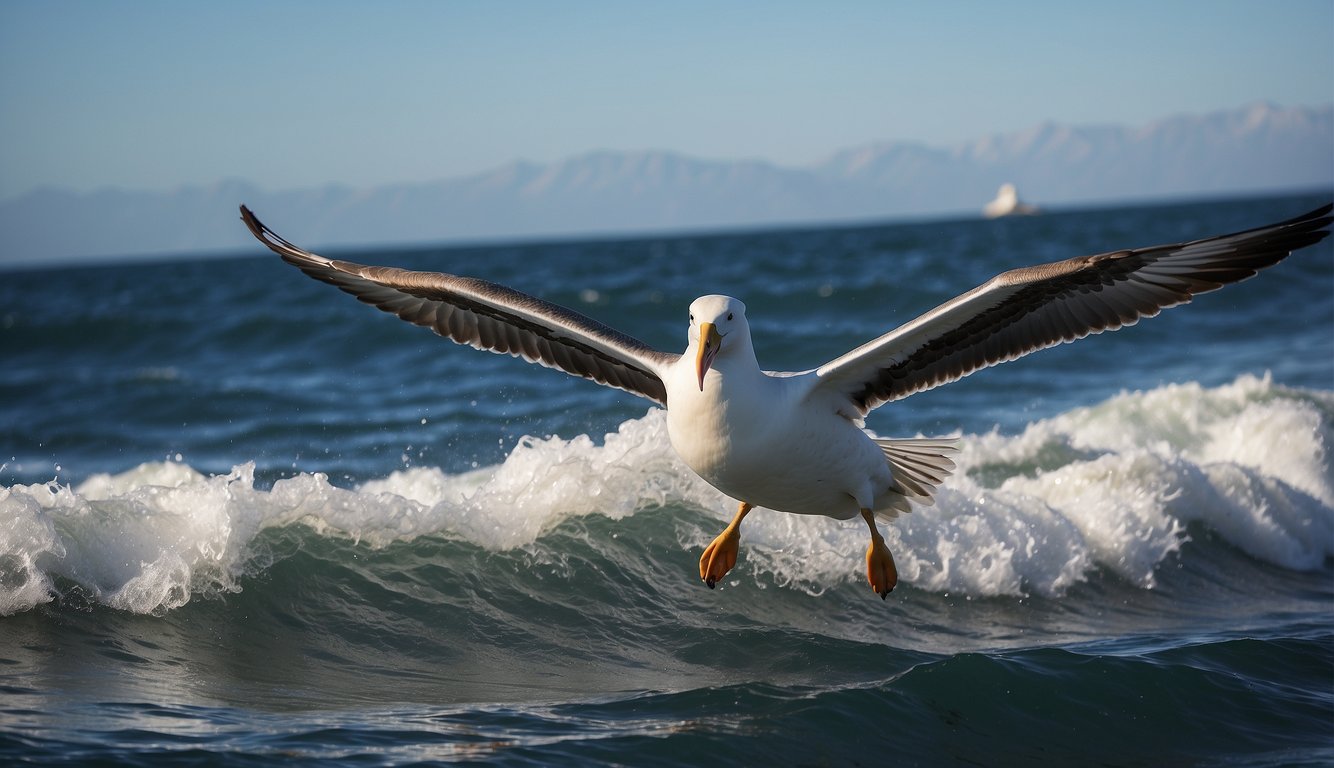 Albatross soar effortlessly over crashing waves, their wings outstretched and gliding through the wind with graceful precision