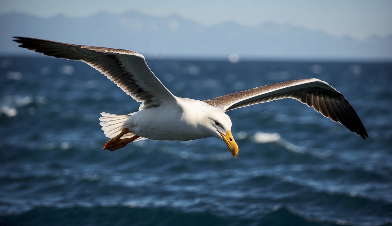 Albatross soar gracefully over the ocean, their wings outstretched, embodying the mastery of wind and sea.

They represent scientific inquiry and technological advances in their ability to endure and navigate vast distances