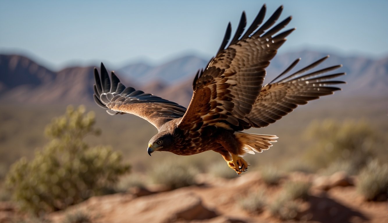 Harris hawks soar above desert landscape, communicating and coordinating to corner prey with precision and teamwork