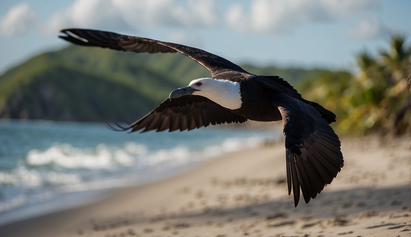 A frigatebird soars effortlessly above the ocean, its massive wings stretching out to catch the wind.

The bird glides gracefully through the air, displaying its impressive ability to fly for weeks without landing