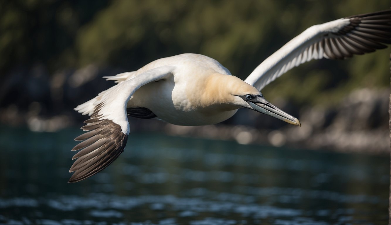 A gannet diving from a great height, wings tucked in, beak pointed downward, piercing the water's surface with precision and grace