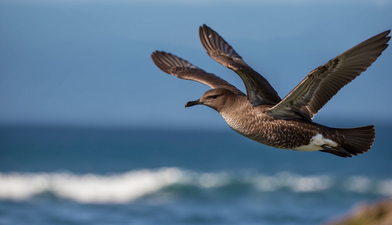 Sooty Shearwater soars over vast ocean, wings outstretched.

It navigates with precision, a migration marvel. A true master of the sky and sea