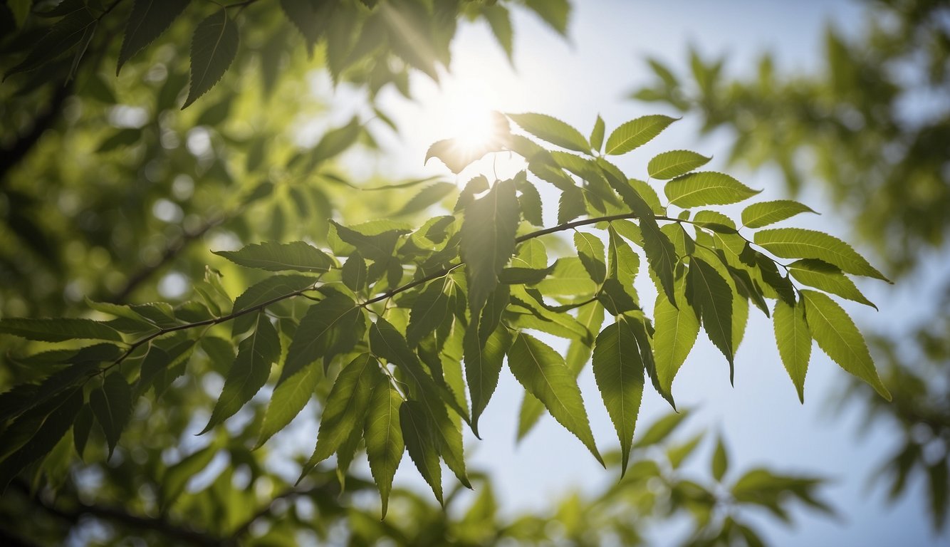 A neem tree stands tall, its leaves and branches reaching out towards the sky. Surrounding the tree are various traditional and alternative medicine practices, showcasing the numerous benefits of the neem tree