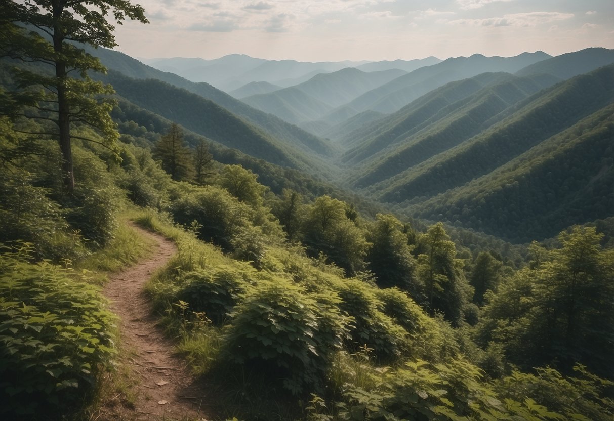 Lush forested mountains with winding trails, campfires, and scenic overlooks in Great Smoky Mountains, Tennessee