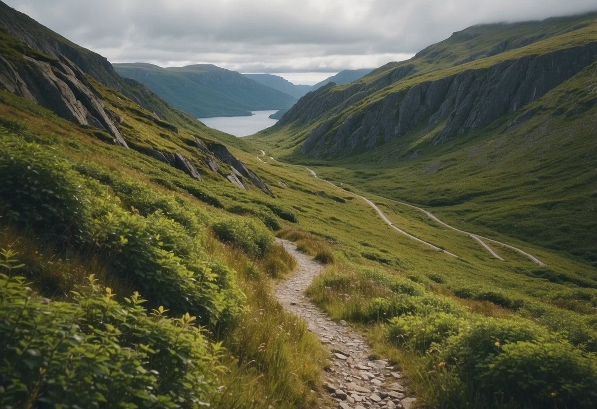 A winding trail cuts through the rugged Newfoundland landscape, with mountains in the distance and lush greenery lining the path