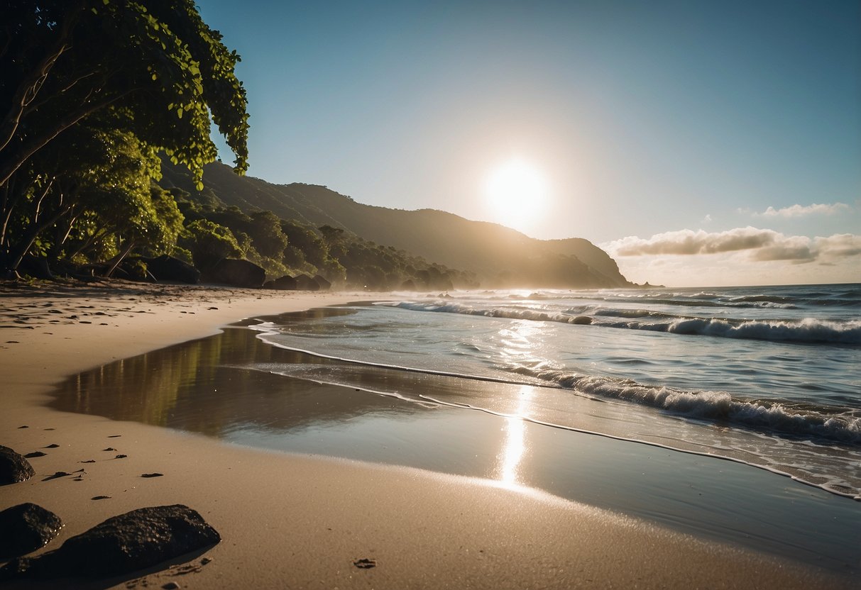 A peaceful beach in Ecuador, with lush greenery and various bird species perched on branches, flying overhead, or wading in the shallow waters