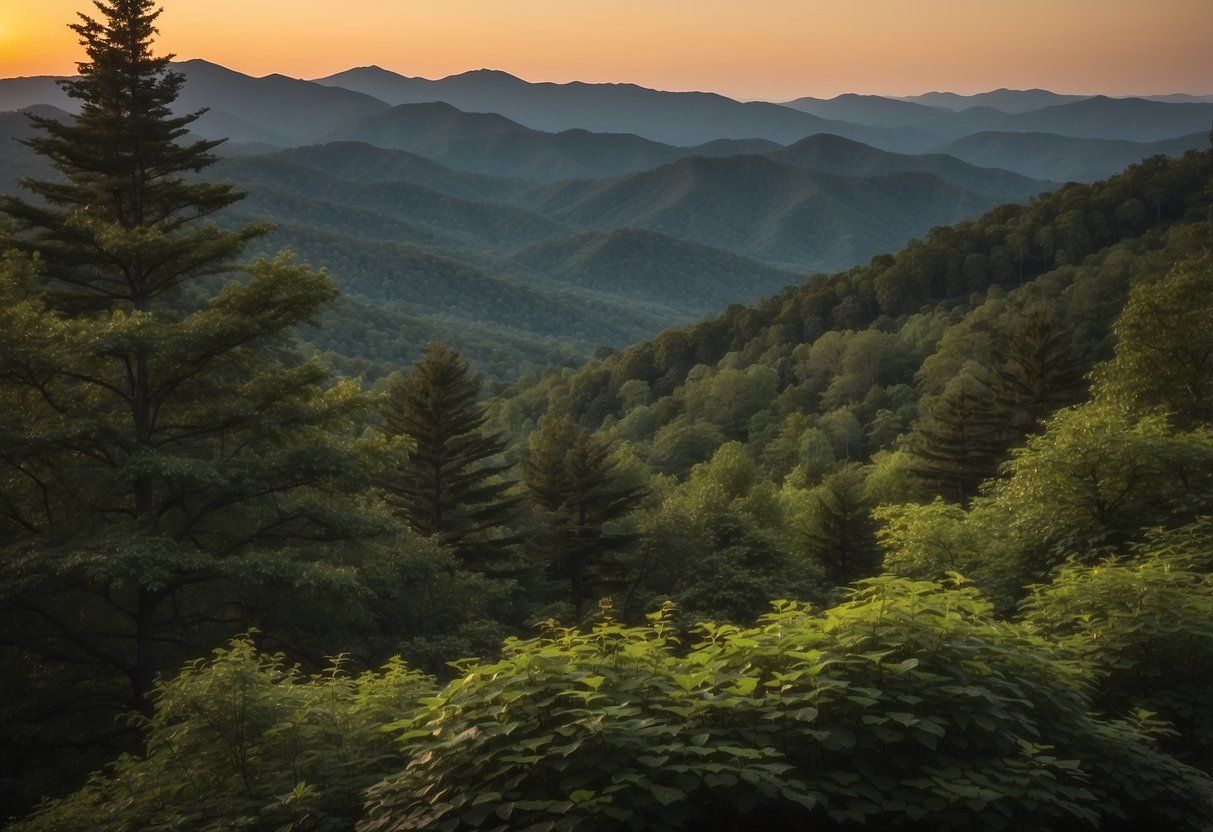 The sun sets over the lush forests of Great Smoky Mountains National Park, highlighting the diverse wildlife in their natural habitat