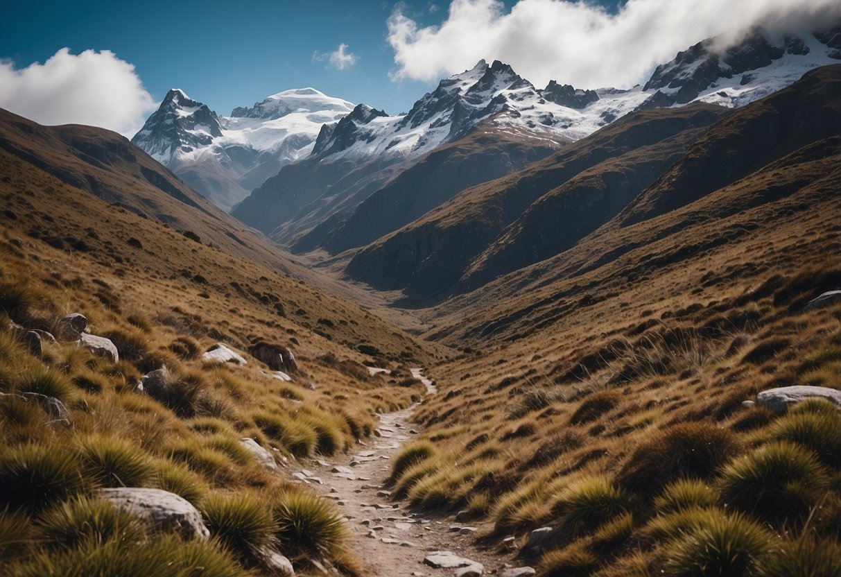 Snow-capped Andean peaks surround a winding trail through Cajas National Park, with vibrant alpine flora and a pristine, snow-covered landscape