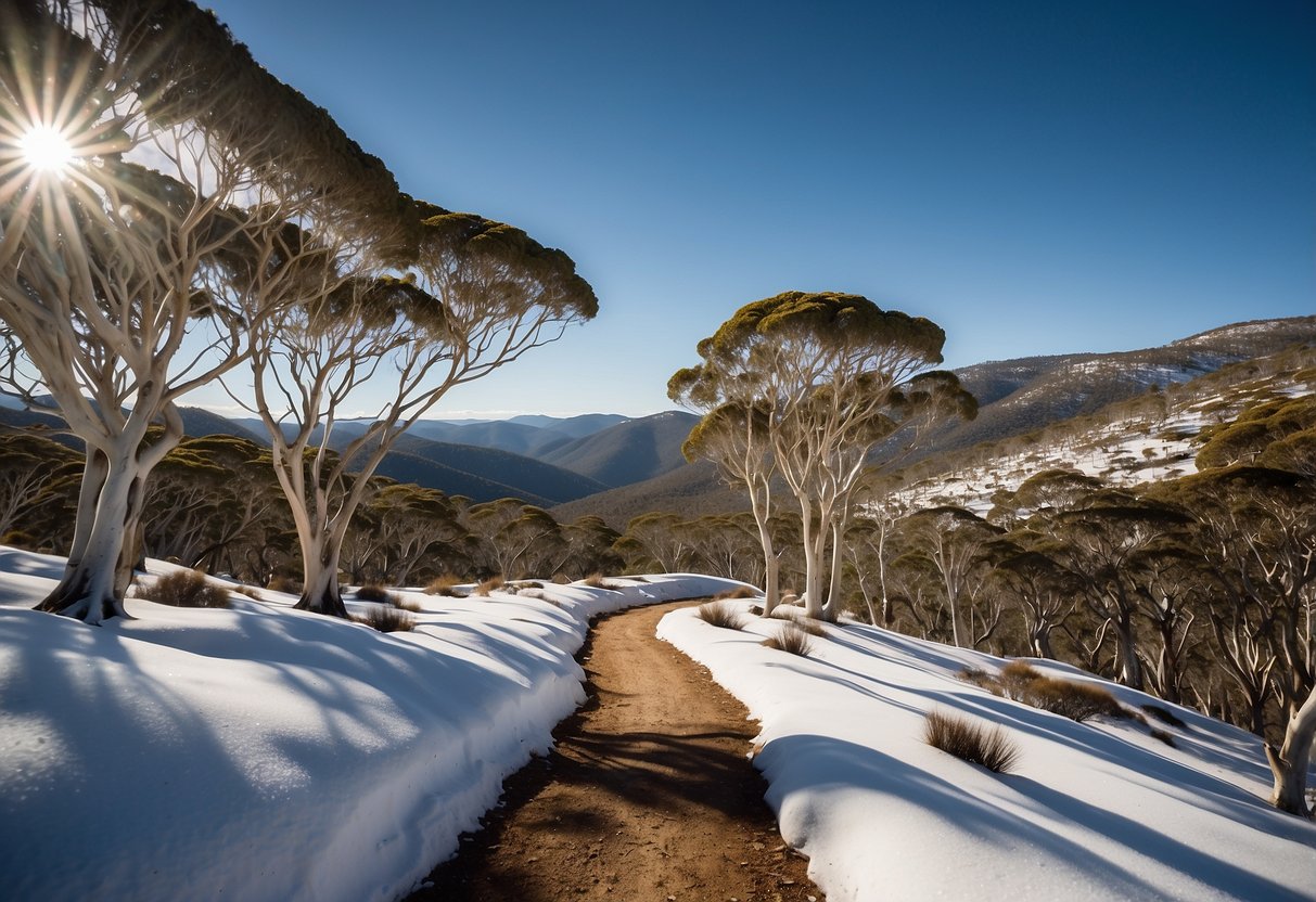 Snow-covered mountains, eucalyptus forests, and winding trails in Kosciuszko National Park. Crisp blue skies and wildlife tracks