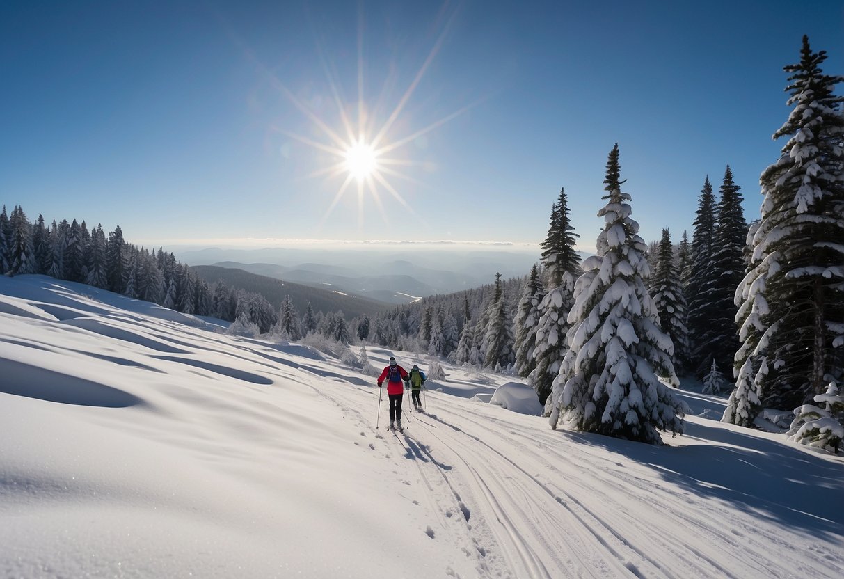 Snow-covered Nyika Plateau, Malawi. Pine trees line the trails as skiers glide across the pristine white landscape. Blue skies and rolling hills complete the picturesque cross-country skiing scene