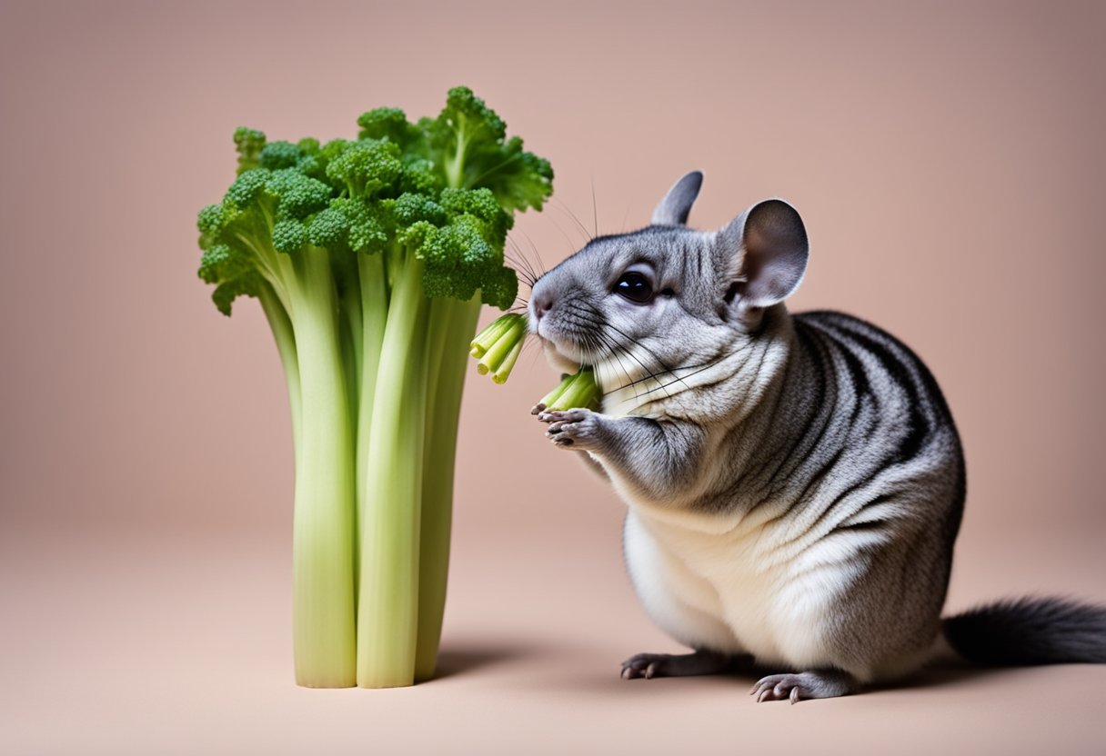 A chinchilla nibbles on a stalk of celery, surrounded by question marks and a FAQ banner