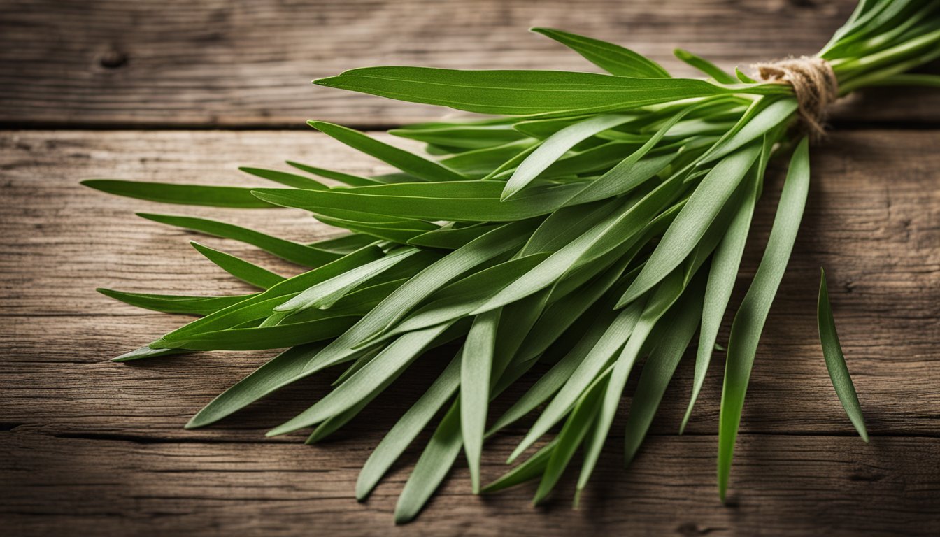 Fresh tarragon leaves on rustic wood, slender and green