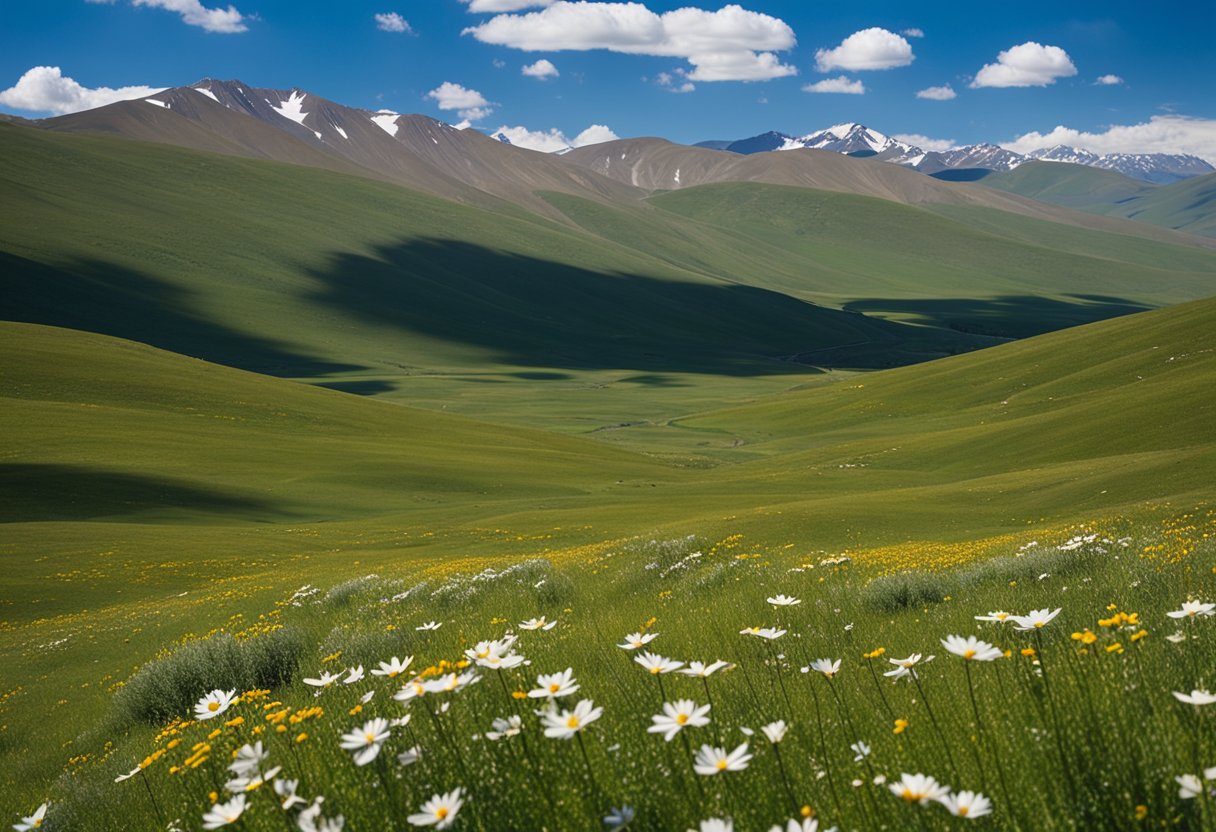 Rolling hills of Deosai National Park under a clear blue sky, with a vast expanse of wildflowers and grazing wildlife