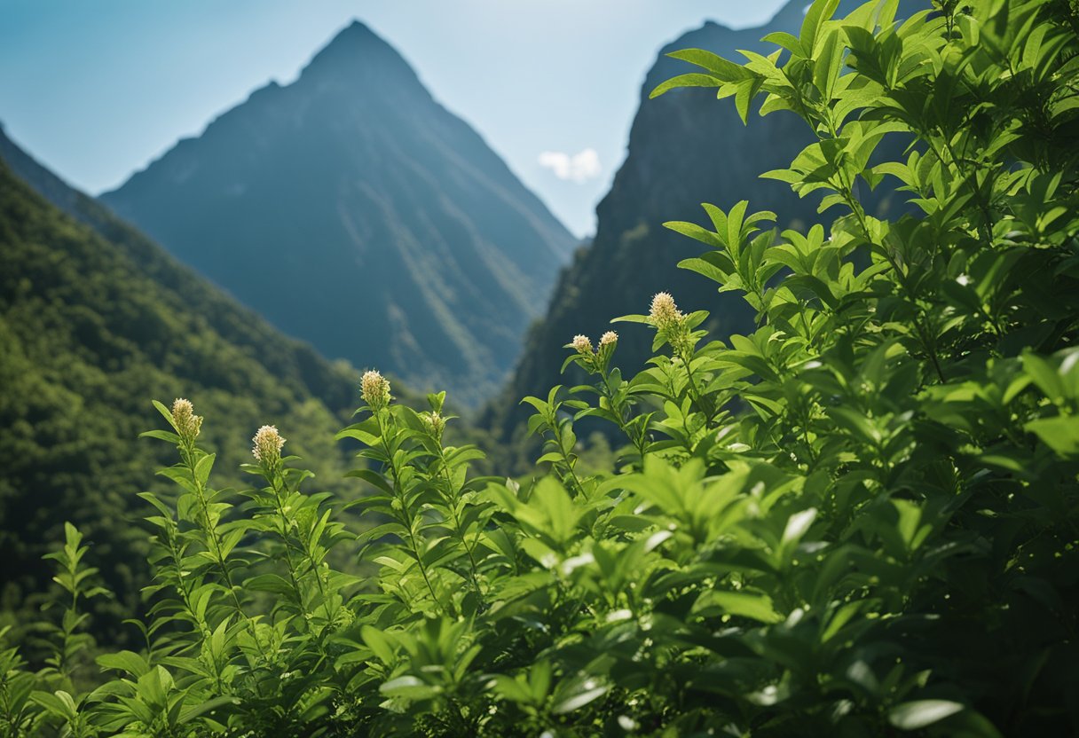 A serene mountain landscape with two separate peaks, one representing ashwagandha and the other shilajit, surrounded by lush greenery and a clear blue sky