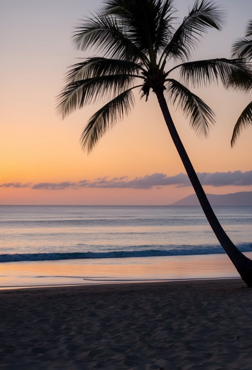 A beautiful sunset over the tranquil beaches of Maui, with palm trees swaying in the warm February breeze