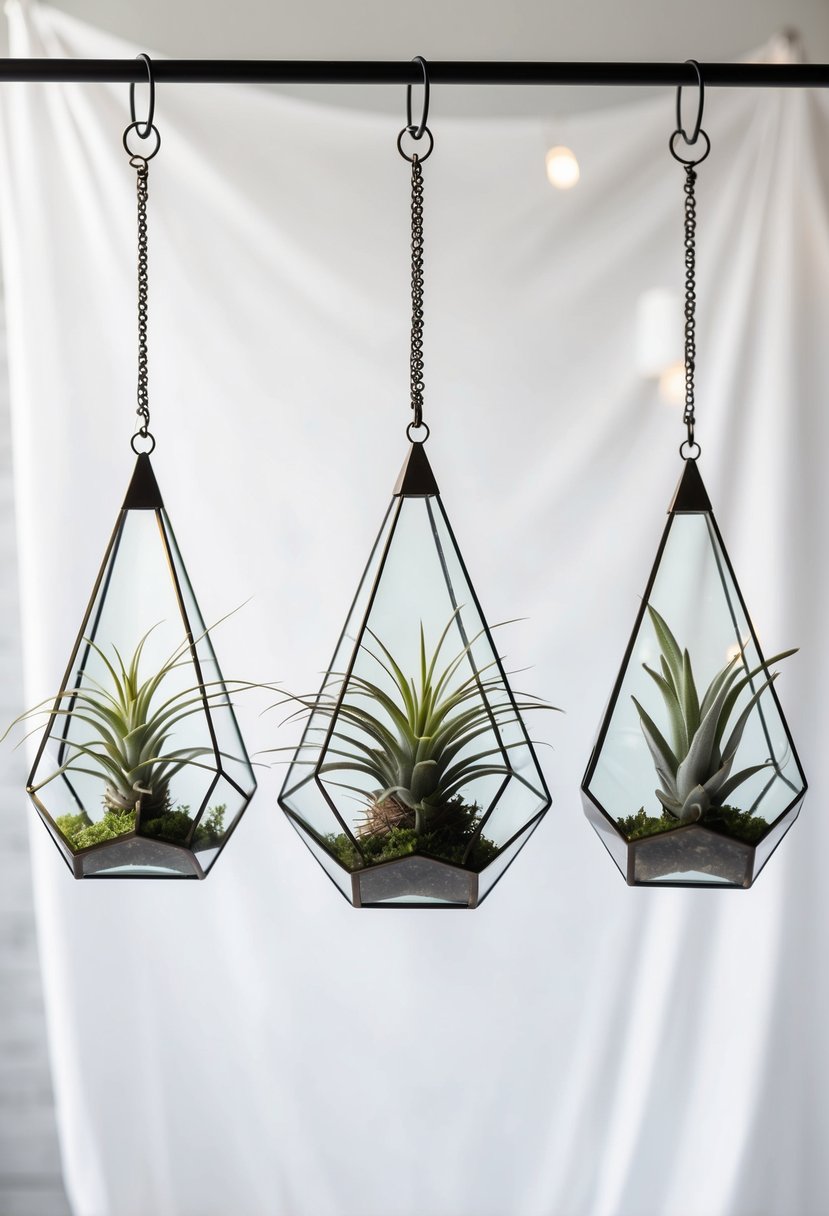 A trio of geometric glass terrariums with air plants and minimalist accents, suspended from a metal stand against a white backdrop